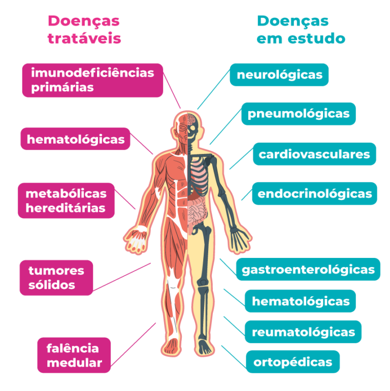 Doenças tratáveis e em estudo com células-tronco do cordão umbilical ...